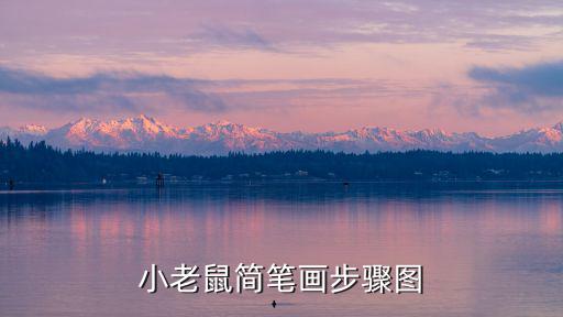 小老鼠簡筆畫步驟圖