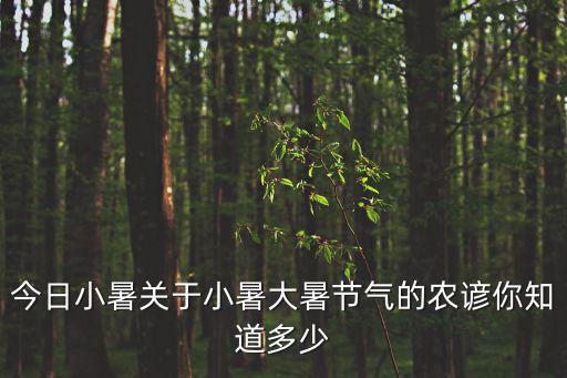 今日小暑關(guān)于小暑大暑節(jié)氣的農(nóng)諺你知道多少