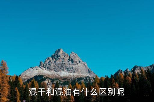 混干皮和混油皮區別,區分混干皮和油皮有何不同?