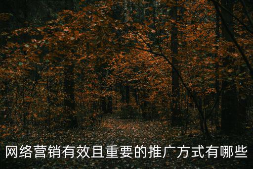 網(wǎng)絡(luò)營(yíng)銷有效且重要的推廣方式有哪些