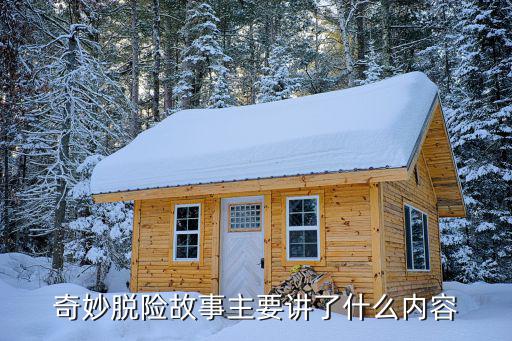 奇妙脫險故事主要講了什么內容