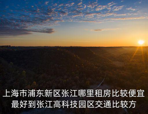 上海市浦東新區張江哪里租房比較便宜最好到張江高科技園區交通比較方