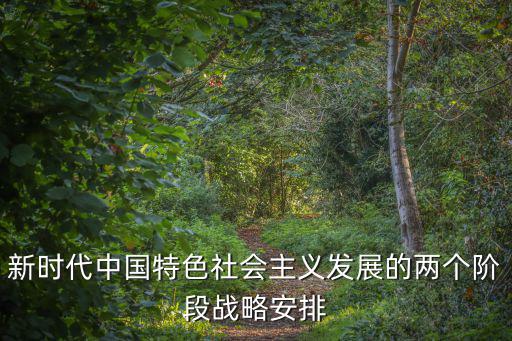 新時代中國特色社會主義發展的兩個階段戰略安排