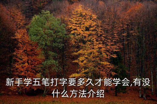 新手學五筆打字,學五筆打字最簡單方法