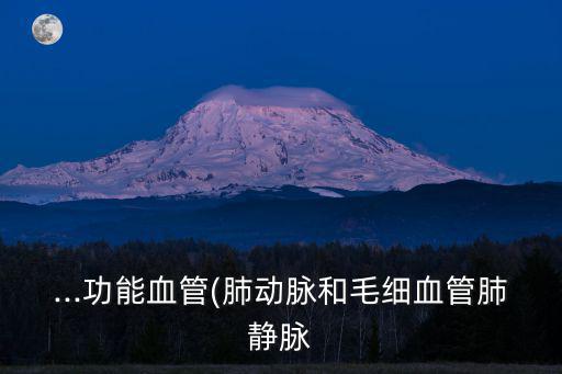 支氣管動脈,肺動脈與肺靜脈是否存在吻合?