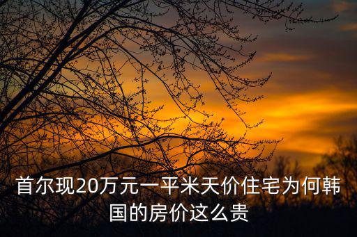 首爾現(xiàn)20萬元一平米天價住宅為何韓國的房價這么貴