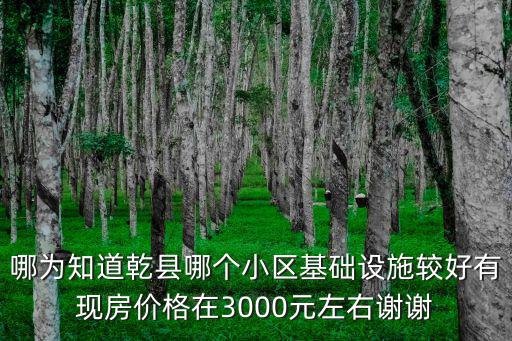 乾縣哪個小區房價好，乾縣明德城和盛唐大觀園那個好盛唐房價比明德城高