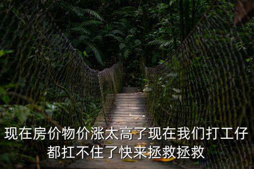 現在房價物價漲太高了現在我們打工仔都扛不住了快來拯救拯救