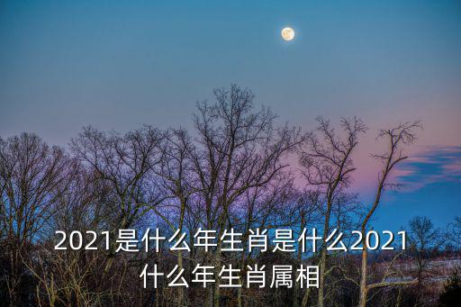 2021是什么年生肖是什么2021什么年生肖屬相
