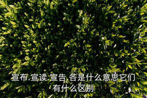 宣布.宣讀.宣告.各是什么意思它們有什么區別