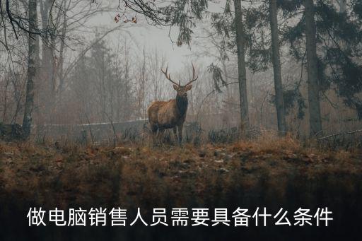 電腦銷售,做電腦銷售需要具備什么條件?