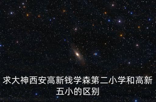 求大神西安高新錢學森第二小學和高新五小的區別