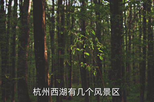 杭州西湖有幾個風景區
