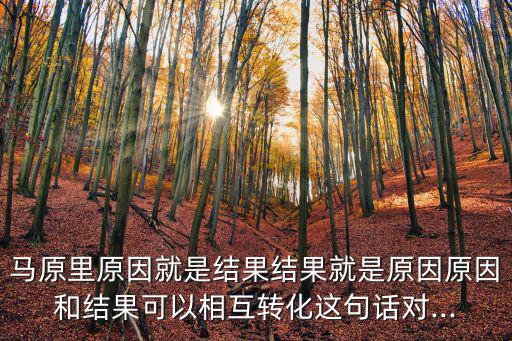 原因與結果,馬原里原因就是結果結果可以相互轉化