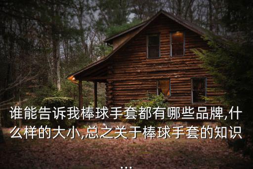 中華職棒,我國棒球好手