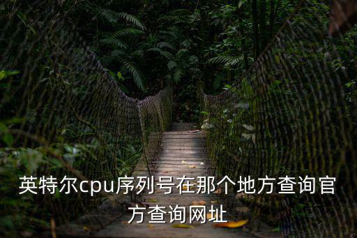 英特爾cpu序列號在那個地方查詢官方查詢網址