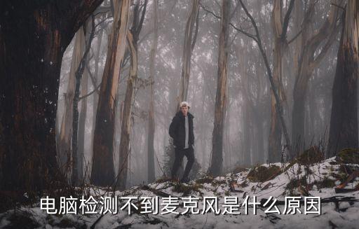電腦麥克風測試,怎么用麥克風測試聲音?