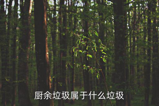 什么是廚余垃圾,廚余垃圾屬不可回收垃圾
