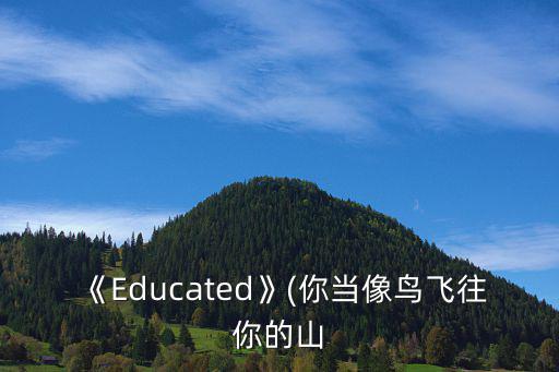 《Educated》(你當(dāng)像鳥飛往你的山
