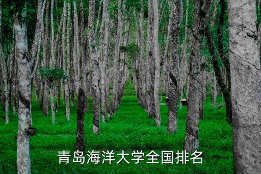 青島海洋大學全國排名