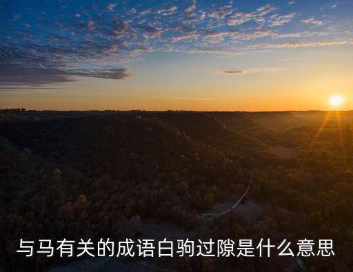 與馬有關的成語白駒過隙是什么意思