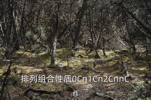 排列組合性質0Cn1Cn2CnnCn
