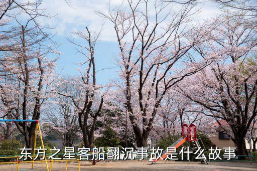 東方之星沉船事件,船上乘客多為上海老年旅游團成員
