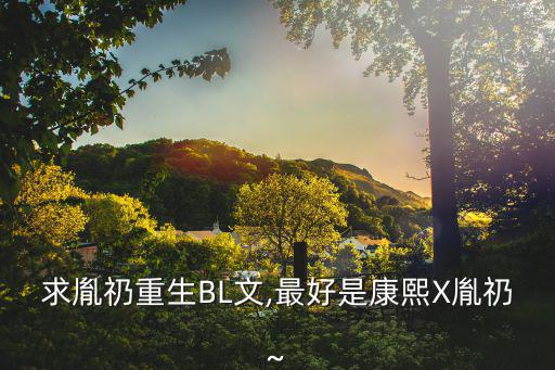清歌之胤礽,《問清》、《大清儲君》等求胤重生推薦