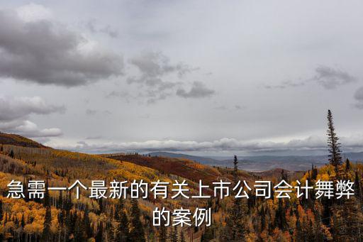 急需一個最新的有關上市公司會計舞弊的案例