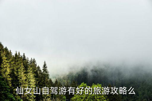 仙女山游玩攻略,武隆仙女山旅游攻略!