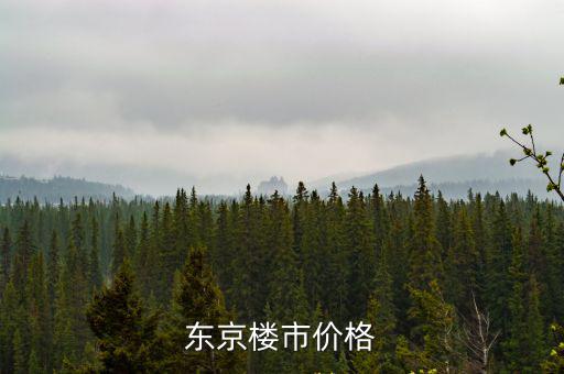 東京樓市價格