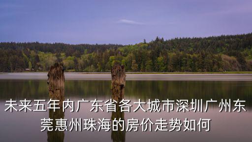 未來五年內廣東省各大城市深圳廣州東莞惠州珠海的房價走勢如何