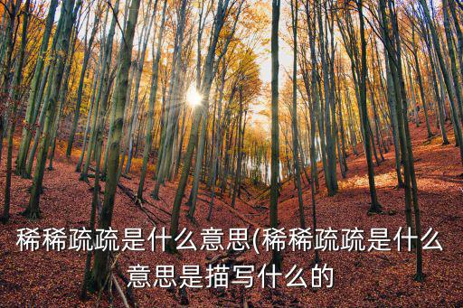 稀疏是什么意思,稀稀疏疏是什么意思?