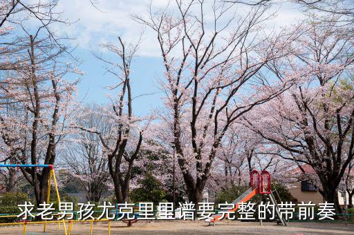 求老男孩尤克里里譜要完整的帶前奏