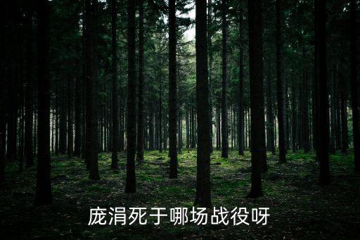 龐涓,龐涓敗在齊國軍隊為逃兵扎營以免長夢多