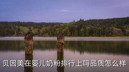 貝因美在嬰兒奶粉排行上嗎品質怎么樣