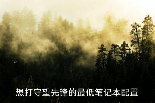 守望先鋒配置,守望先鋒筆記本配置要求出爐怎么配?