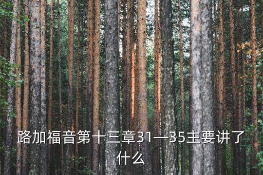 新約福音講章,關于量器的經文有約7:2