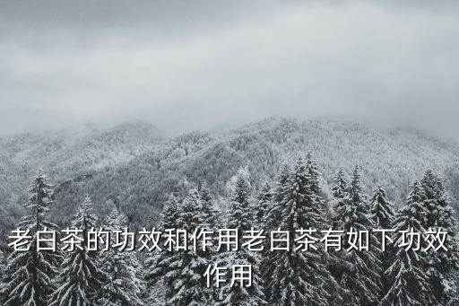 老白茶的功效,泡法注意事項