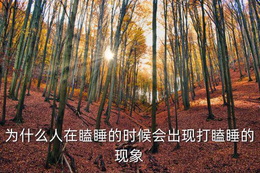 為什么人在瞌睡的時候會出現(xiàn)打瞌睡的現(xiàn)象