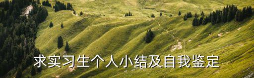 個人實習(xí)鑒定,畢業(yè)實習(xí)工作自我鑒定100100字