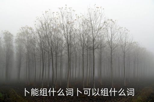 卜組詞語,卜組詞:卜地卜落卜卜課卜鳳卜日卜吉卜肆卜卜