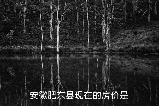 安徽肥東縣現在的房價是