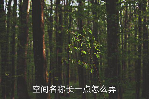 空間名稱怎么弄長,怎么弄長名字?記得先復制好保存一定要快速