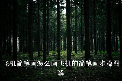 飛機簡筆畫怎么畫飛機的簡筆畫步驟圖解
