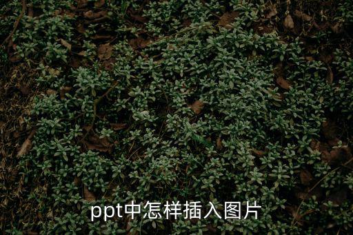 ppt中怎樣插入圖片