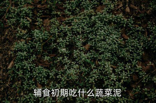 四味菜,第一口菜泥應選擇胡蘿卜或土豆