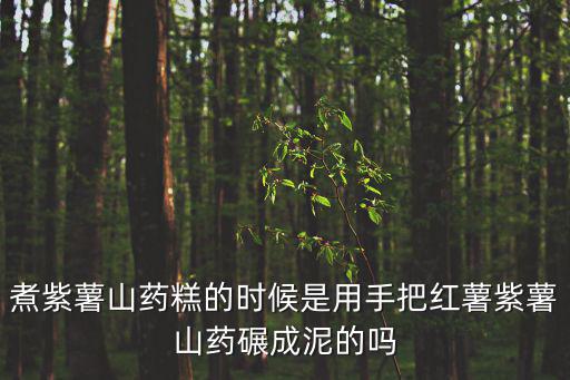 煮紫薯山藥糕的時候是用手把紅薯紫薯山藥碾成泥的嗎