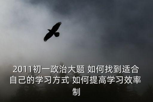 2011初一政治大題 如何找到適合自己的學習方式 如何提高學習效率 制