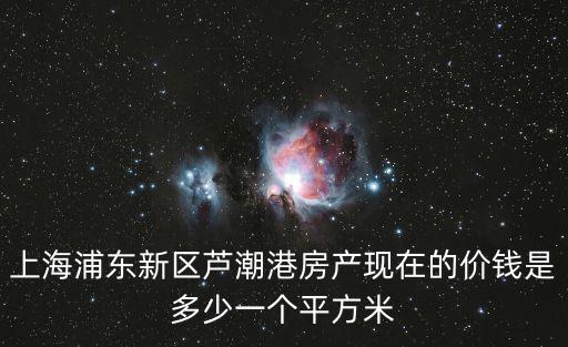 上海浦東新區蘆潮港房產現在的價錢是多少一個平方米